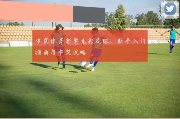 中国足球彩票怎么买？新手入门指南